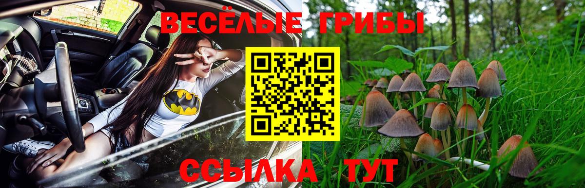 Галлюциногенные грибы мухоморы  Вход с VPN  Касимов 